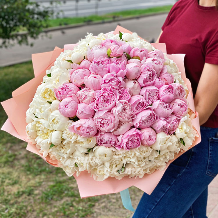 101-belyj-i-rozovyj-pion-v-krafte