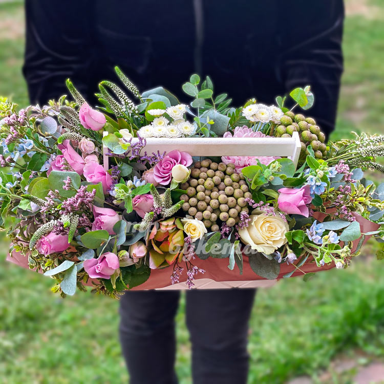 Розы, бруния и оксипеталум в ящике