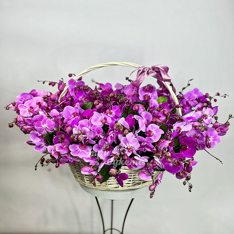 Большая корзина сиреневых орхидей